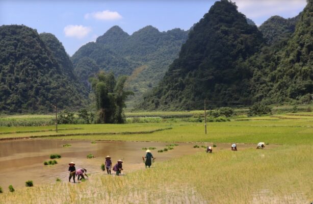 Phong Nam à Thác Bản Giốc