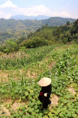 day 2 trek Hoang su phi
