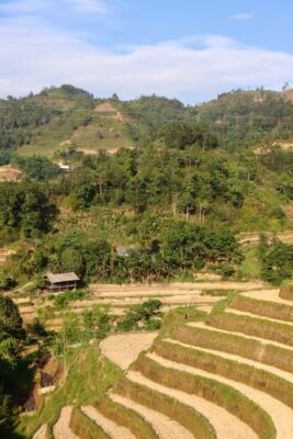 day 2 trek Hoang su phi