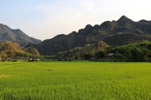 Mai Châu