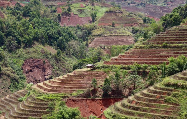 mu cang chai