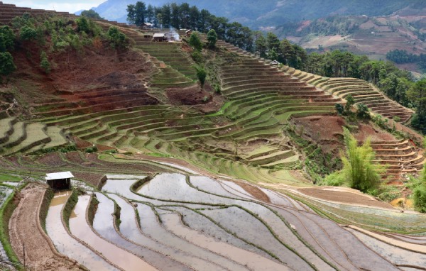 mu cang chai