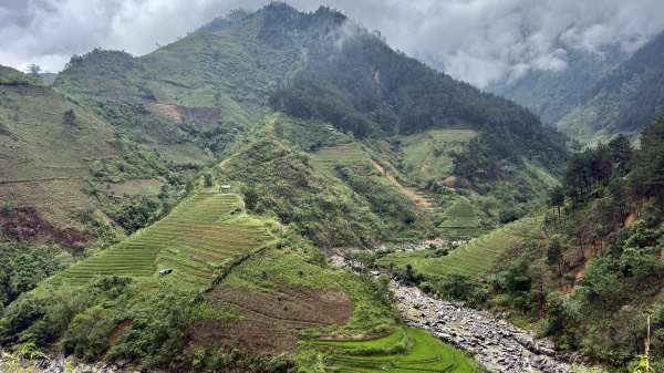 trung tam