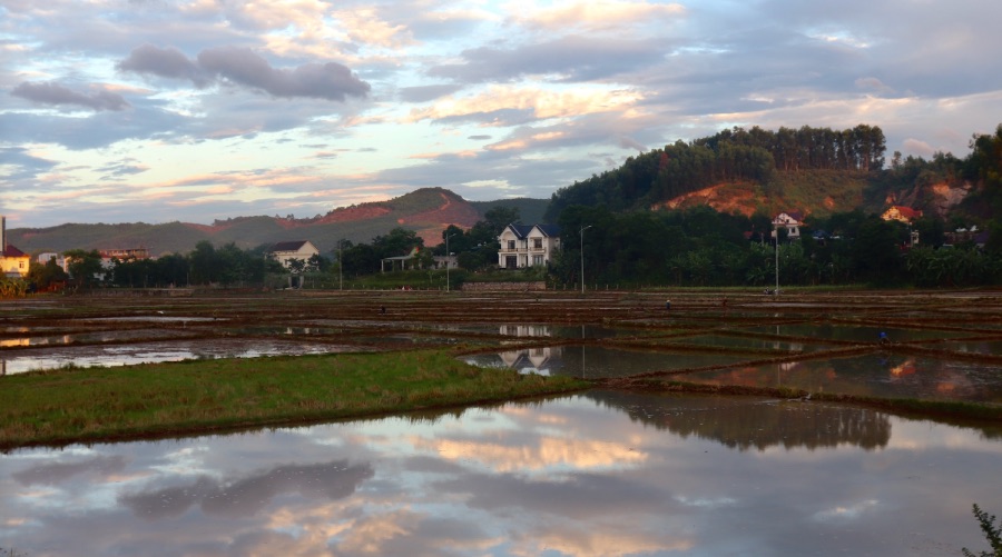 Phong Nha