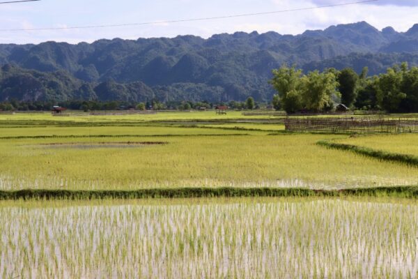 thakhek jour 1
