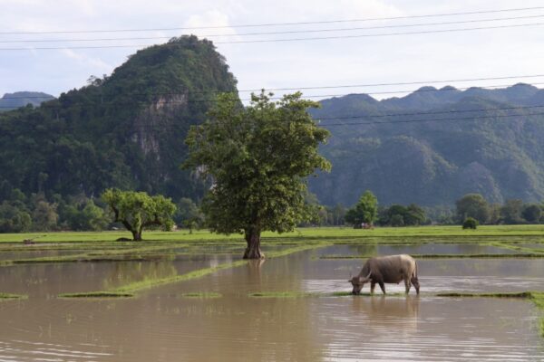 thakhek jour 2