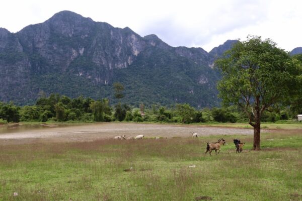 thakhek jour 2