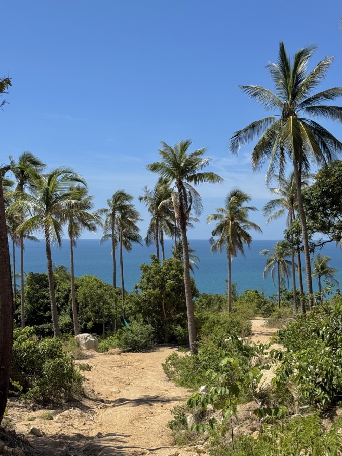bottle beach