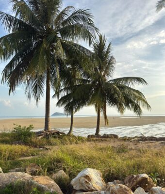 la chasse aux plages