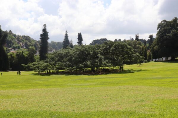 jardin botanique