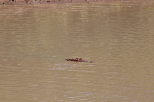 kumana national park