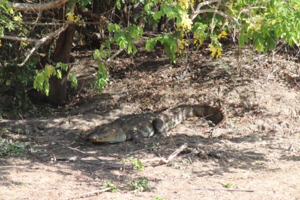 kumana national park