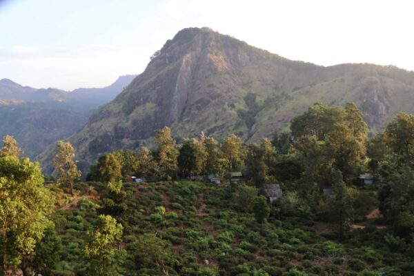 little Adam's peak