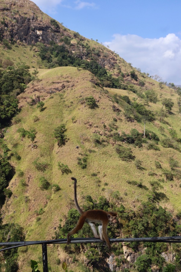 ravana falls