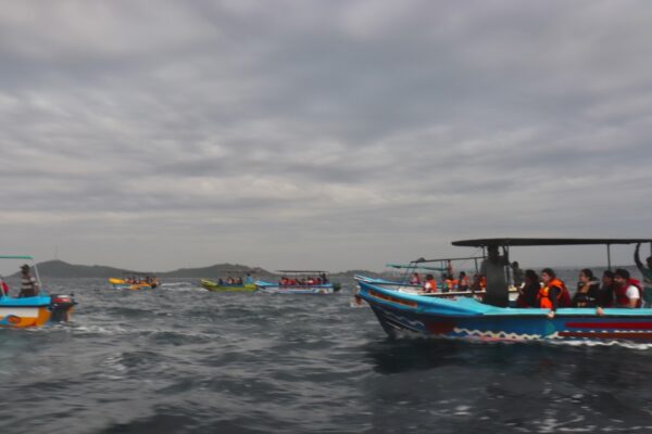safari en mer