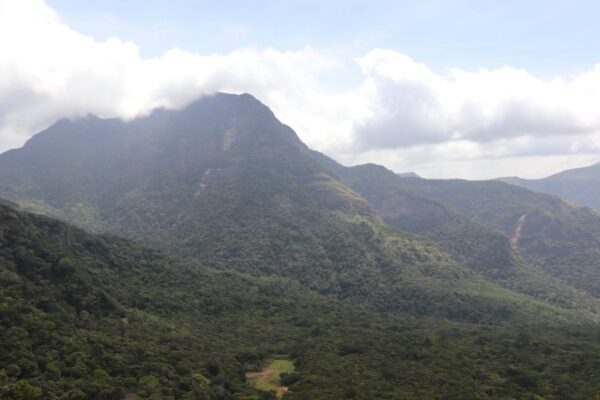 The knuckles mountains