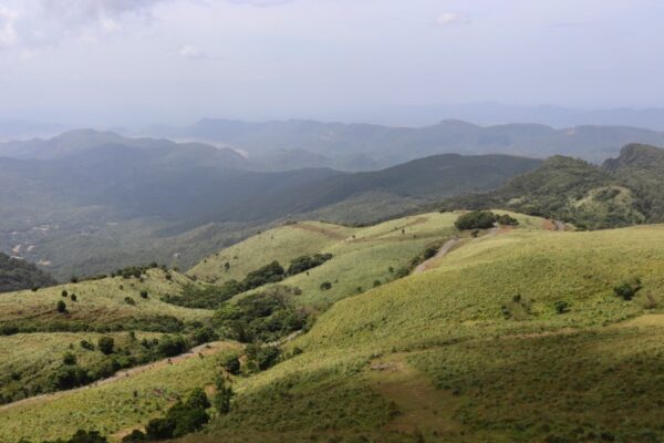 The knuckles mountains