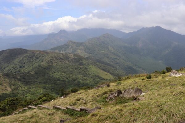The knuckles mountains