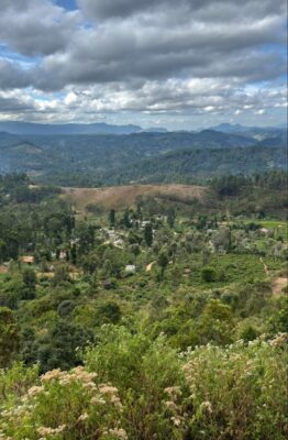 train de nuwara Eliya à huputale